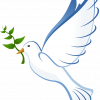 dove, peace, flying-41260.jpg